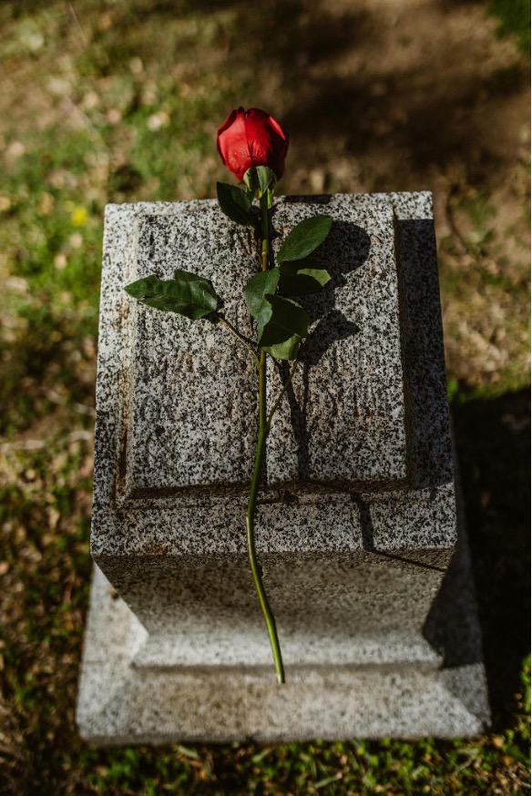close-up-shot-of-a-red-rose-flower-on-tombstone
