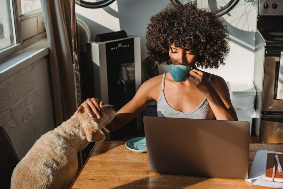 african-american-female-freelancer-using-laptop-and-drinking-coffee