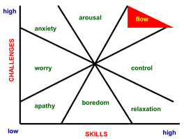 Flow-book-summary