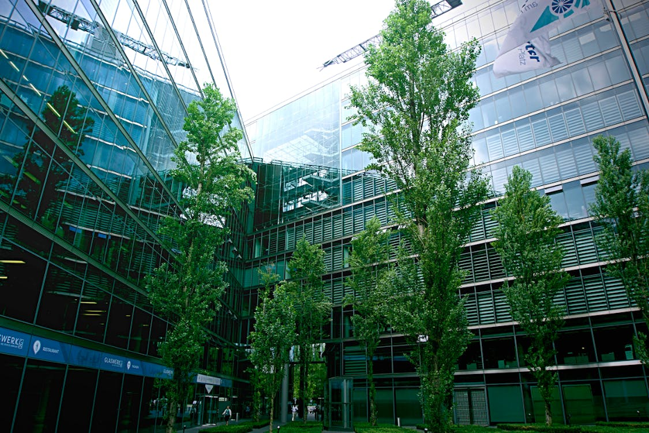 green-leafed-trees-near-building